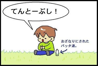 moroの家族と、ハンドメイドと。
