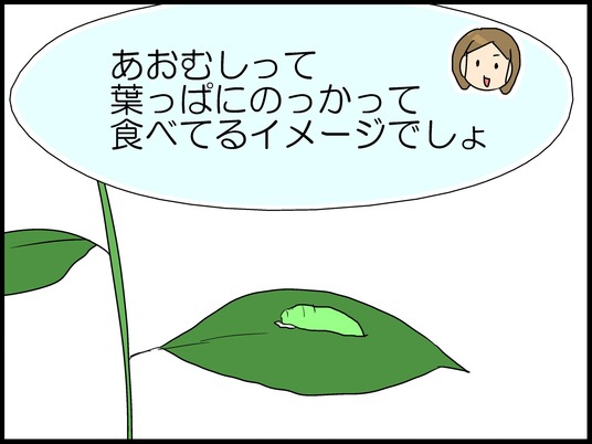 ブログ0006