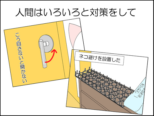 イラスト_002