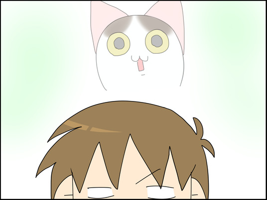 イラスト_005