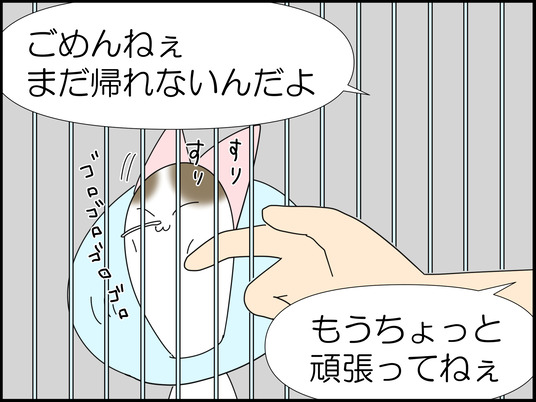イラスト_023