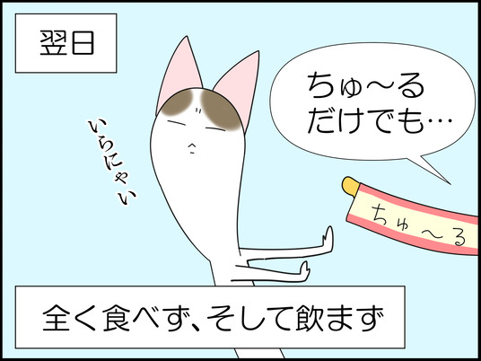イラスト_020