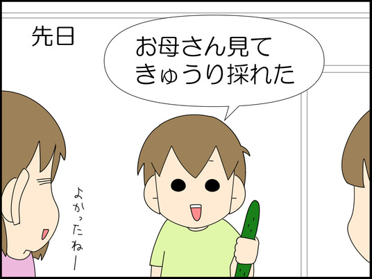 イラスト_008