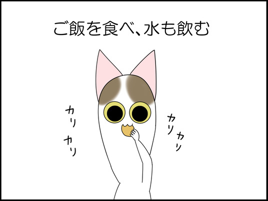 イラスト_005