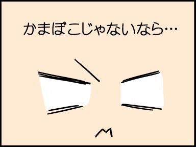 moroの家族と、ハンドメイドと。