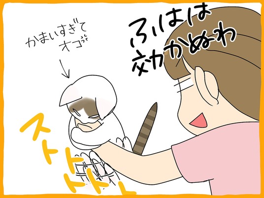 ブログ0005
