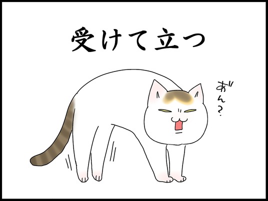 ブログ0007