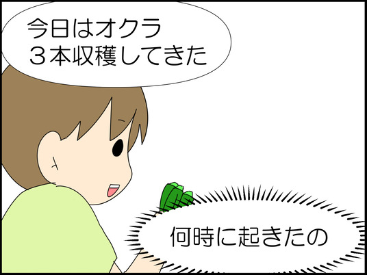 イラスト_008