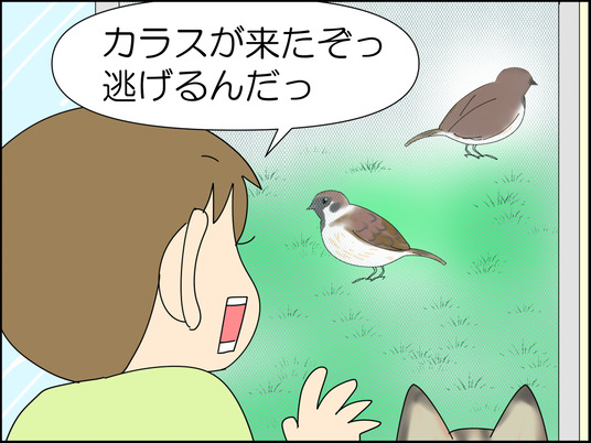 イラスト_011