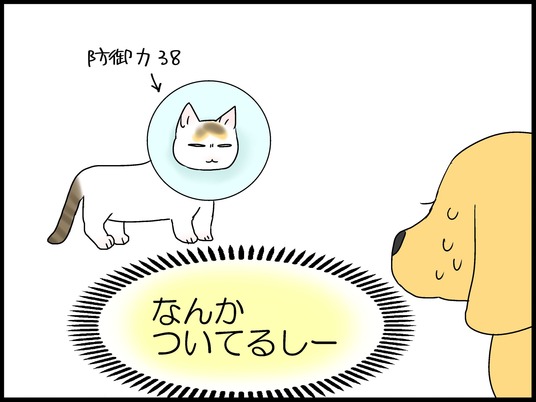 ブログ0006