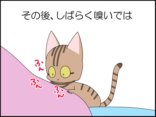 イラスト_010