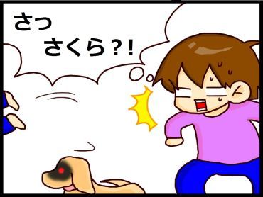 moroの家族と、ハンドメイドと。