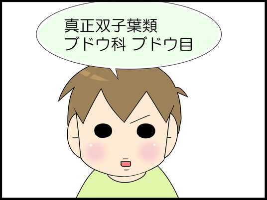 イラスト５