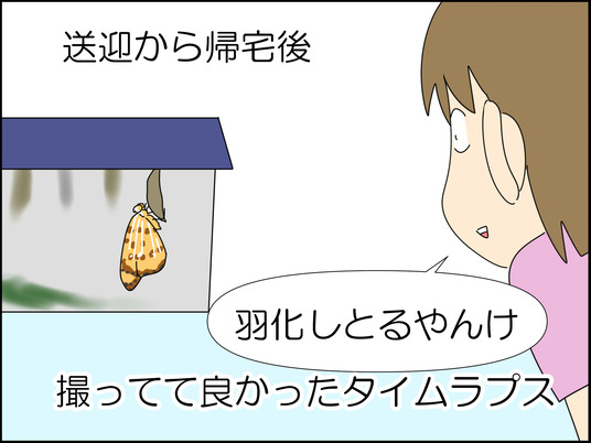 イラスト_038