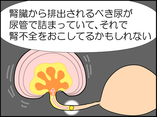 イラスト_030