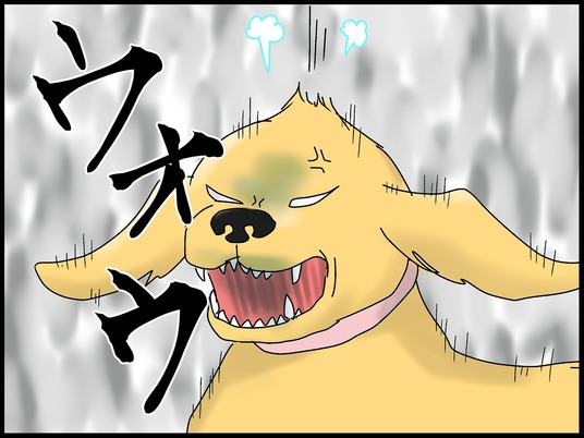 ブログ0013