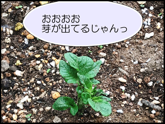 ブログ0007
