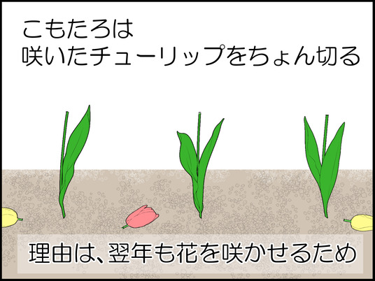 イラスト_008