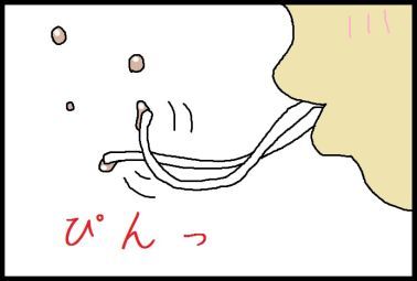 moroの家族と、ハンドメイドと。