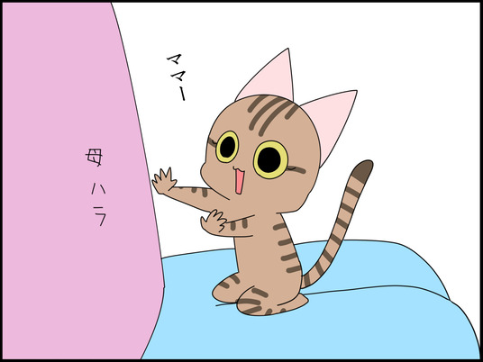 イラスト_001