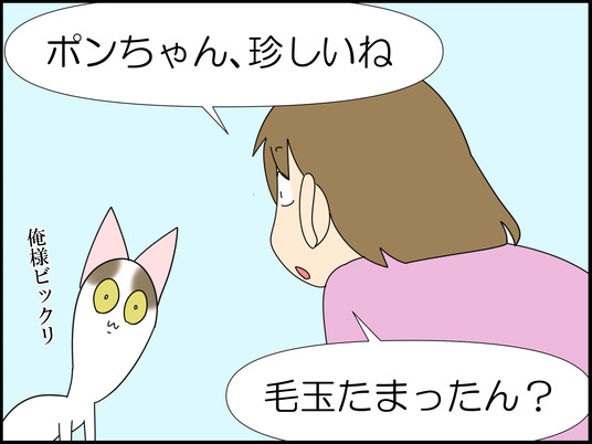 イラスト_003