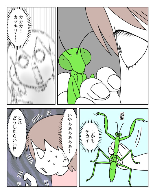 イラスト_006