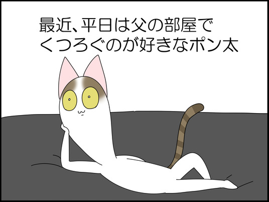 イラスト_001