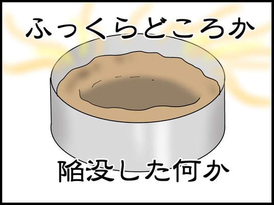 hahu100009