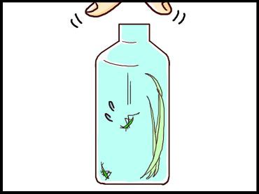 moroの家族と、ハンドメイドと。