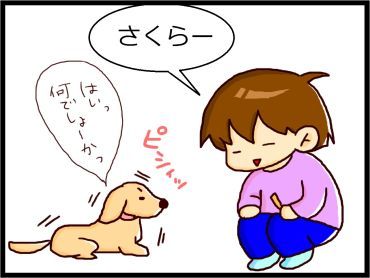 moroの家族と、ハンドメイドと。