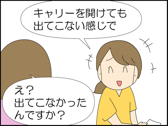 イラスト_008
