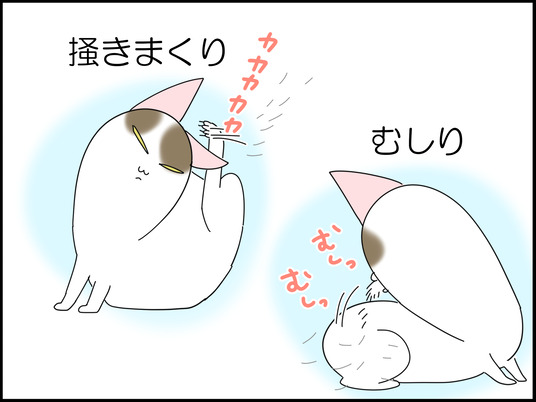 イラスト_009