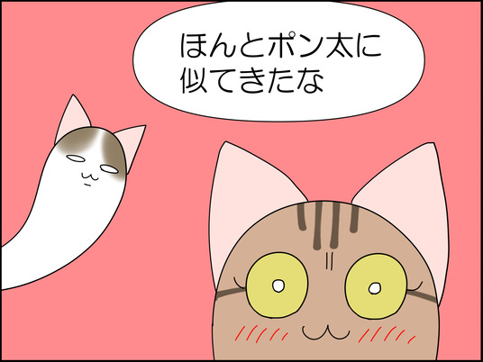 イラスト_011