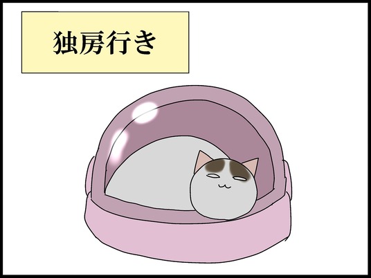 ブログ0014