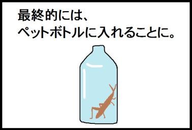 moroの家族と、ハンドメイドと。