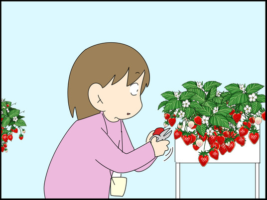 イラスト_010