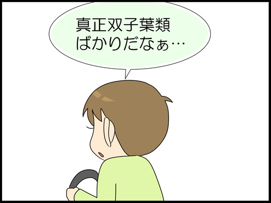 イラスト６