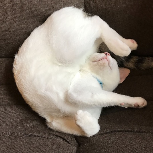 05