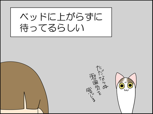 イラスト_010