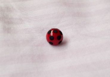 moroの家族と、ハンドメイドと。