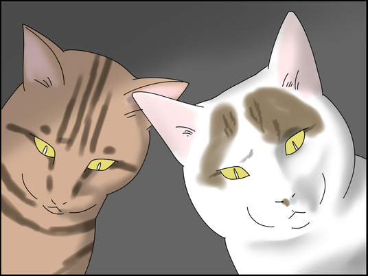 イラスト_013