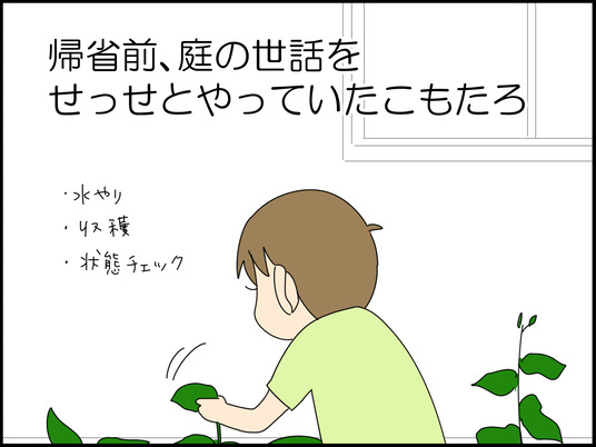 イラスト_001
