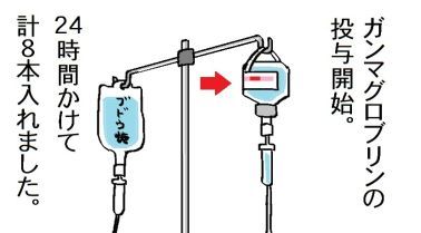 moroの家族と、ハンドメイドと。