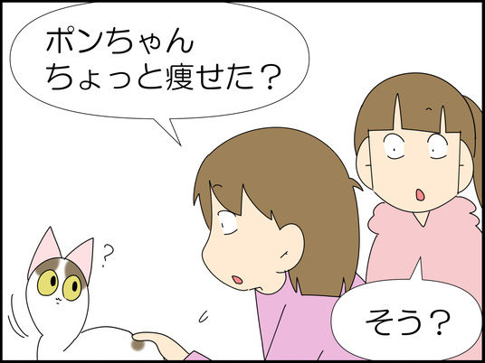 イラスト_003
