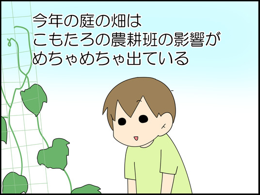 イラスト_001