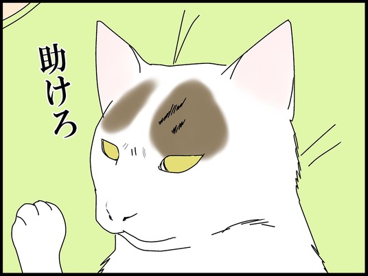 ブログ0005
