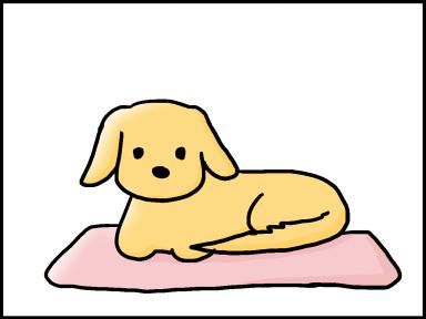 moroの家族と、ハンドメイドと。
