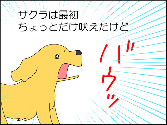 イラスト_008