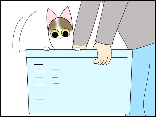 イラスト_024