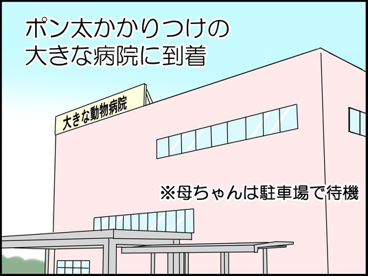 イラスト_012